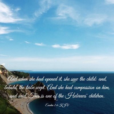 Picture 03 - Exodus 2:6 KJV - And when she had opened it, she saw the child: - Bible Verse Picture