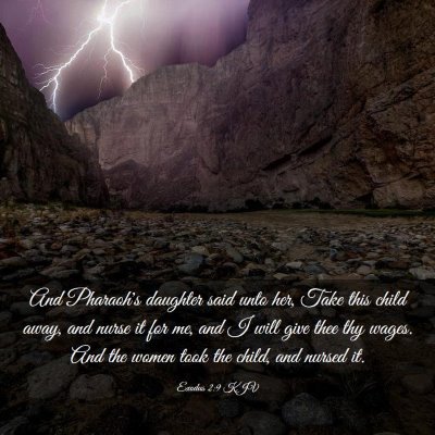 Picture 03 - Exodus 2:9 KJV - And Pharaoh's daughter said unto her, Take this - Bible Verse Picture