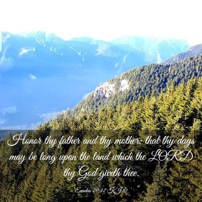 Picture 03 - Exodus 20:12 KJV - Honor thy father and thy mother: that thy days - Bible Verse Picture