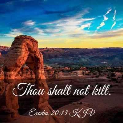 Picture 03 - Exodus 20:13 KJV - Thou shalt not - Bible Verse Picture