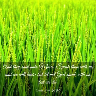Picture 03 - Exodus 20:19 KJV - And they said unto Moses, Speak thou with us, and - Bible Verse Picture