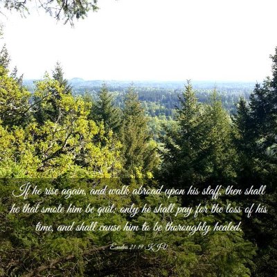 Picture 03 - Exodus 21:19 KJV - If he rise again, and walk abroad upon his staff, - Bible Verse Picture