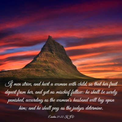 Picture 03 - Exodus 21:22 KJV - If men strive, and hurt a woman with child, so - Bible Verse Picture