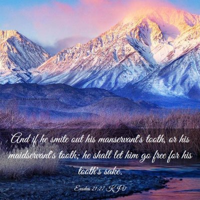 Picture 03 - Exodus 21:27 KJV - And if he smite out his manservant's tooth, or - Bible Verse Picture