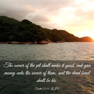Picture 03 - Exodus 21:34 KJV - The owner of the pit shall make it good, and give - Bible Verse Picture