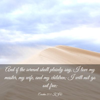 Picture 03 - Exodus 21:5 KJV - And if the servant shall plainly say, I love my - Bible Verse Picture