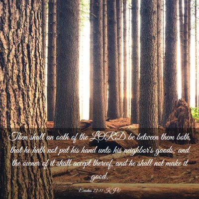Picture 03 - Exodus 22:11 KJV - Then shall an oath of the LORD be between them - Bible Verse Picture