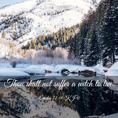 Picture 03 - Exodus 22:18 KJV - Thou shalt not suffer a witch to - Bible Verse Picture