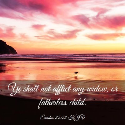 Picture 03 - Exodus 22:22 KJV - Ye shall not afflict any widow, or fatherless - Bible Verse Picture