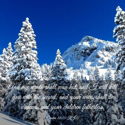 Picture 03 - Exodus 22:24 KJV - And my wrath shall wax hot, and I will kill you - Bible Verse Picture