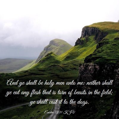 Picture 03 - Exodus 22:31 KJV - And ye shall be holy men unto me: neither shall - Bible Verse Picture