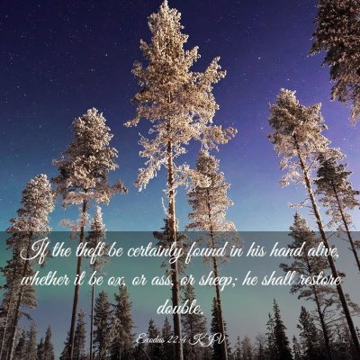 Picture 03 - Exodus 22:4 KJV - If the theft be certainly found in his hand - Bible Verse Picture