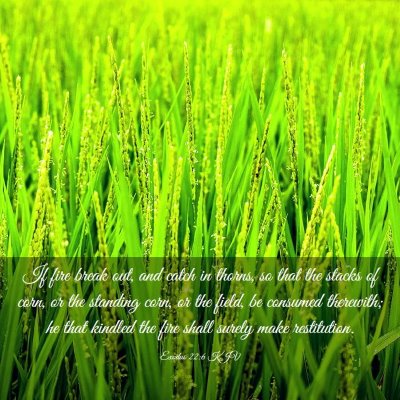 Picture 03 - Exodus 22:6 KJV - If fire break out, and catch in thorns, so that - Bible Verse Picture