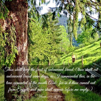 Picture 03 - Exodus 23:15 KJV - Thou shalt keep the feast of unleavened bread: - Bible Verse Picture