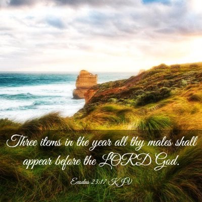 Picture 03 - Exodus 23:17 KJV - Three items in the year all thy males shall - Bible Verse Picture
