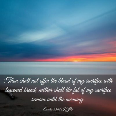 Picture 03 - Exodus 23:18 KJV - Thou shalt not offer the blood of my sacrifice - Bible Verse Picture