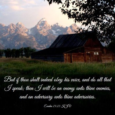 Picture 03 - Exodus 23:22 KJV - But if thou shalt indeed obey his voice, and do - Bible Verse Picture