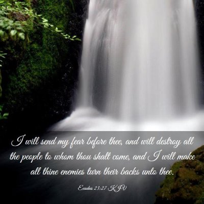 Picture 03 - Exodus 23:27 KJV - I will send my fear before thee, and will destroy - Bible Verse Picture