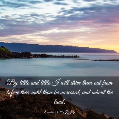 Picture 03 - Exodus 23:30 KJV - By little and little I will drive them out from - Bible Verse Picture