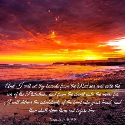 Picture 03 - Exodus 23:31 KJV - And I will set thy bounds from the Red sea even - Bible Verse Picture