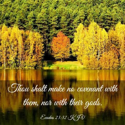 Picture 03 - Exodus 23:32 KJV - Thou shalt make no covenant with them, nor with - Bible Verse Picture