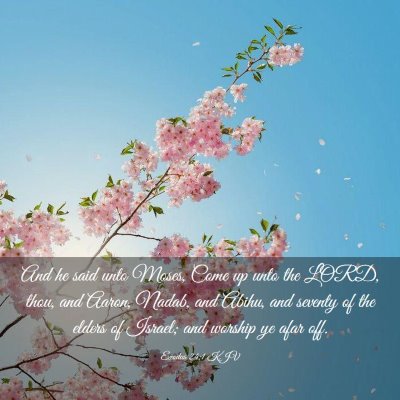 Picture 03 - Exodus 24:1 KJV - And he said unto Moses, Come up unto the LORD, - Bible Verse Picture