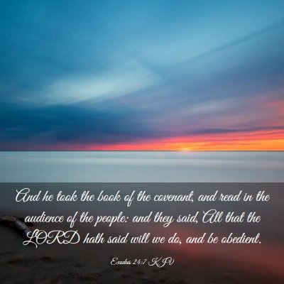 Picture 03 - Exodus 24:7 KJV - And he took the book of the covenant, and read in - Bible Verse Picture