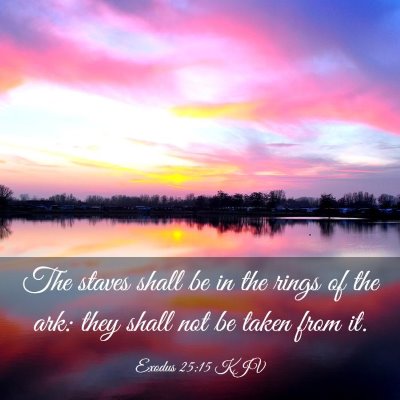 Picture 03 - Exodus 25:15 KJV - The staves shall be in the rings of the ark: they - Bible Verse Picture
