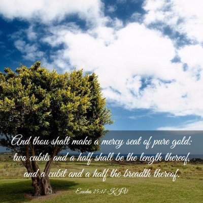 Picture 03 - Exodus 25:17 KJV - And thou shalt make a mercy seat of pure gold: - Bible Verse Picture