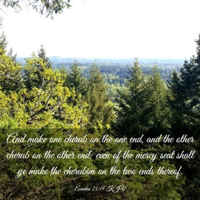 Picture 03 - Exodus 25:19 KJV - And make one cherub on the one end, and the other - Bible Verse Picture