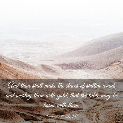Picture 03 - Exodus 25:28 KJV - And thou shalt make the staves of shittim wood, - Bible Verse Picture