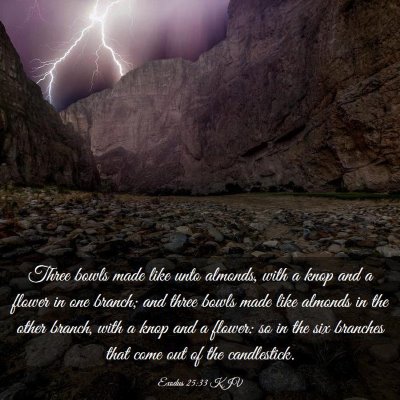 Picture 03 - Exodus 25:33 KJV - Three bowls made like unto almonds, with a knop - Bible Verse Picture