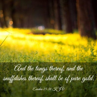 Picture 03 - Exodus 25:38 KJV - And the tongs thereof, and the snuffdishes - Bible Verse Picture