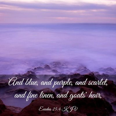 Picture 03 - Exodus 25:4 KJV - And blue, and purple, and scarlet, and fine - Bible Verse Picture