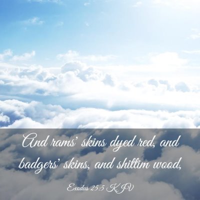 Picture 03 - Exodus 25:5 KJV - And rams' skins dyed red, and badgers' skins, and - Bible Verse Picture