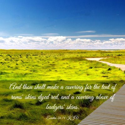 Picture 03 - Exodus 26:14 KJV - And thou shalt make a covering for the tent of - Bible Verse Picture
