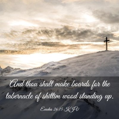 Picture 03 - Exodus 26:15 KJV - And thou shalt make boards for the tabernacle of - Bible Verse Picture