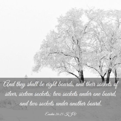 Picture 03 - Exodus 26:25 KJV - And they shall be eight boards, and their sockets - Bible Verse Picture
