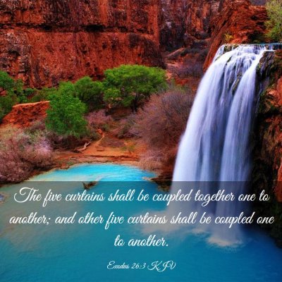 Picture 03 - Exodus 26:3 KJV - The five curtains shall be coupled together one - Bible Verse Picture