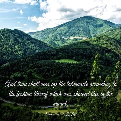 Picture 03 - Exodus 26:30 KJV - And thou shalt rear up the tabernacle according - Bible Verse Picture