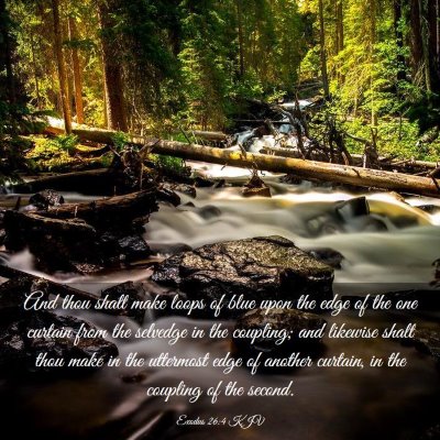 Picture 03 - Exodus 26:4 KJV - And thou shalt make loops of blue upon the edge - Bible Verse Picture