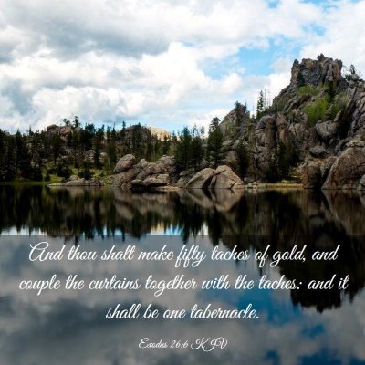Picture 03 - Exodus 26:6 KJV - And thou shalt make fifty taches of gold, and - Bible Verse Picture