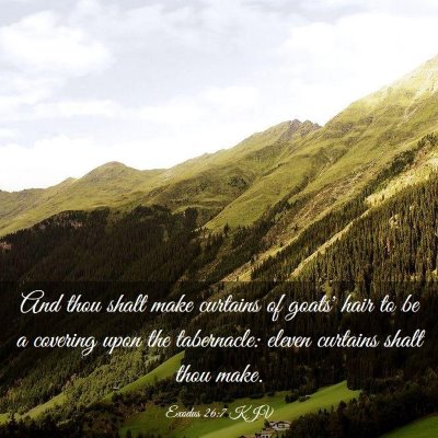 Picture 03 - Exodus 26:7 KJV - And thou shalt make curtains of goats' hair to be - Bible Verse Picture
