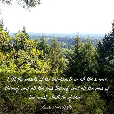 Picture 03 - Exodus 27:19 KJV - All the vessels of the tabernacle in all the - Bible Verse Picture