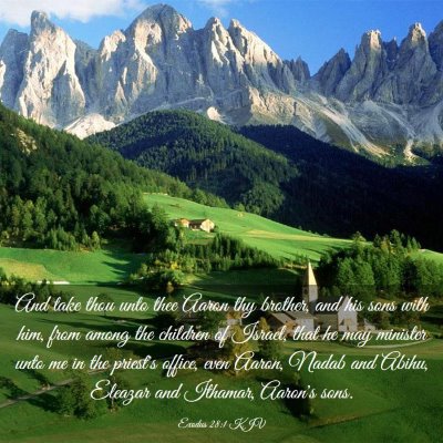 Picture 03 - Exodus 28:1 KJV - And take thou unto thee Aaron thy brother, and - Bible Verse Picture