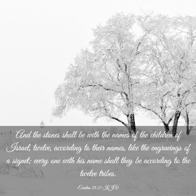 Picture 03 - Exodus 28:21 KJV - And the stones shall be with the names of the - Bible Verse Picture