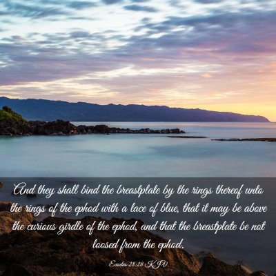 Picture 03 - Exodus 28:28 KJV - And they shall bind the breastplate by the rings - Bible Verse Picture