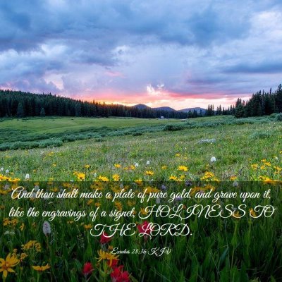 Picture 03 - Exodus 28:36 KJV - And thou shalt make a plate of pure gold, and - Bible Verse Picture