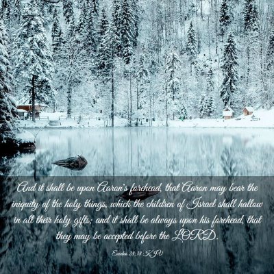 Picture 03 - Exodus 28:38 KJV - And it shall be upon Aaron's forehead, that Aaron - Bible Verse Picture