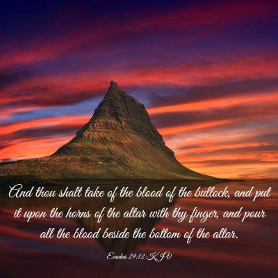 Picture 03 - Exodus 29:12 KJV - And thou shalt take of the blood of the bullock, - Bible Verse Picture